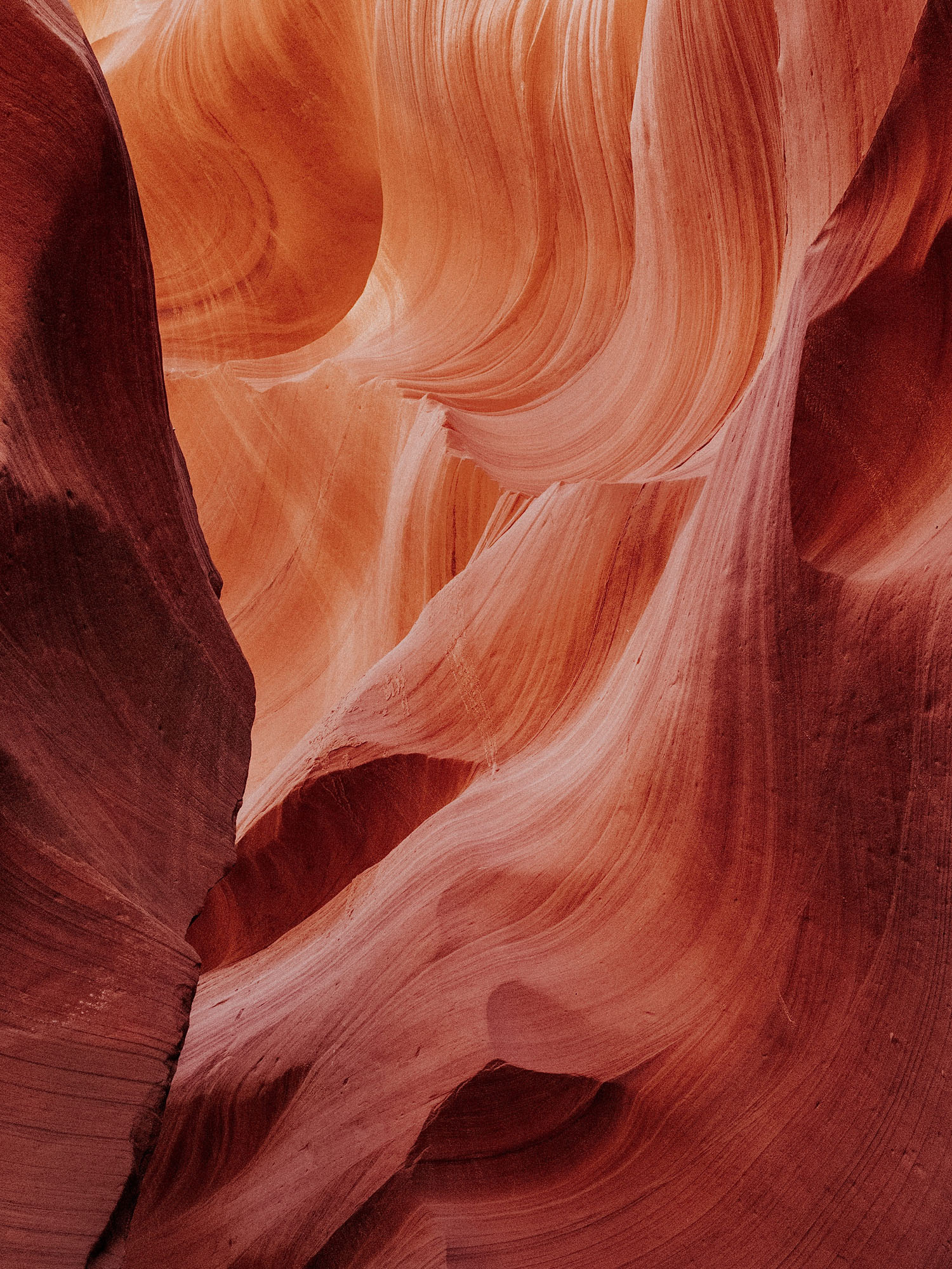 Whole-person approach.